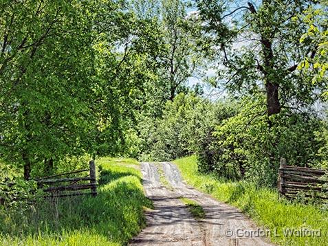 Country Lane_00672.jpg - Photographed near Glen Tay, Ontario, Canada.